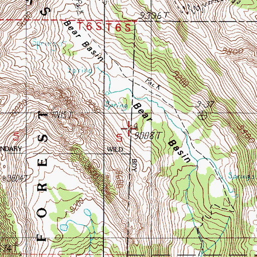 Topographic Map of Bear Basin, MT