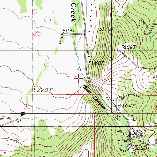 Topographic Map of Bear Canyon, MT
