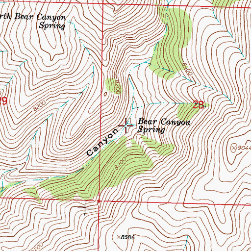 Topographic Map of Bear Canyon Spring, MT