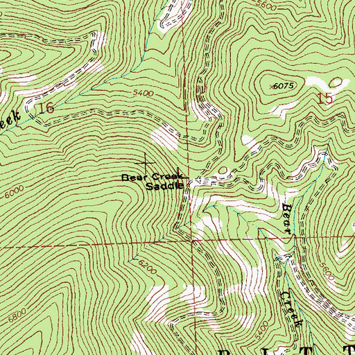 Topographic Map of Bear Creek Saddle, MT