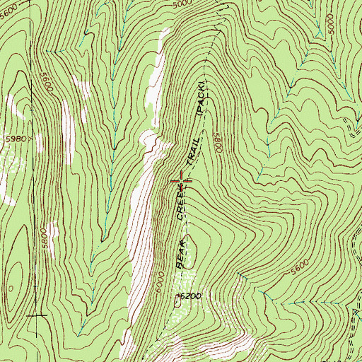 Topographic Map of Bear Creek Trail, MT