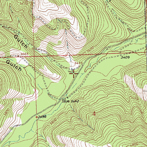 Topographic Map of Bear Gulch, MT
