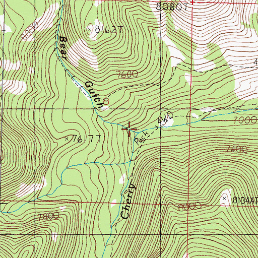 Topographic Map of Bear Gulch, MT