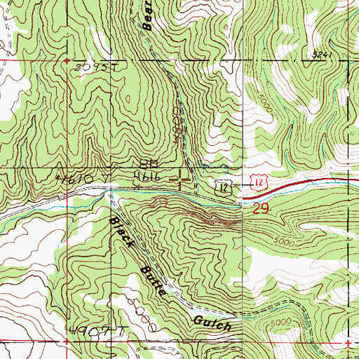 Topographic Map of Bear Gulch, MT
