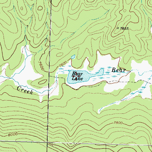 Topographic Map of Bear Lake, MT