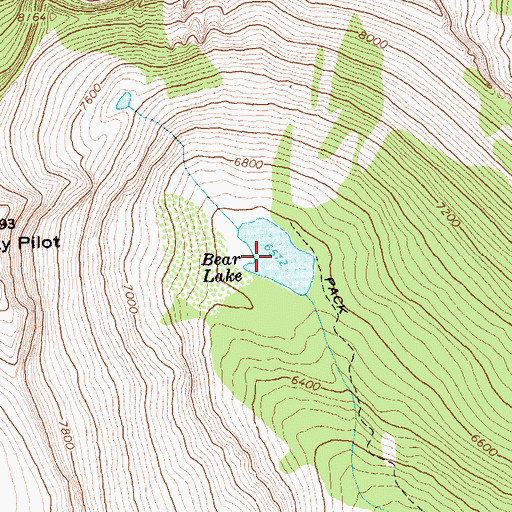 Topographic Map of Bear Lake, MT