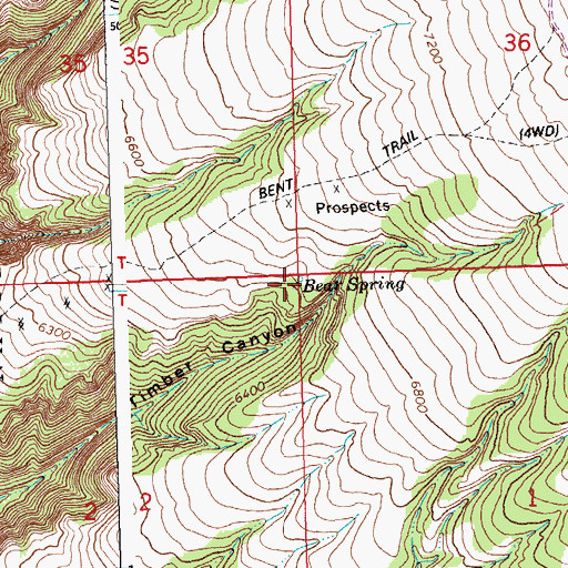 Topographic Map of Bear Spring, MT