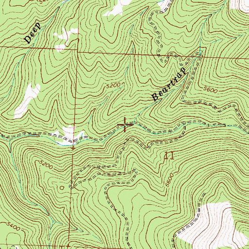 Topographic Map of Beartrap Creek, MT