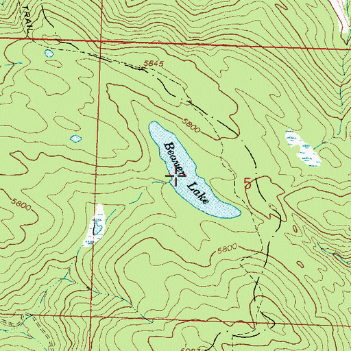 Topographic Map of Beaver Lake, MT