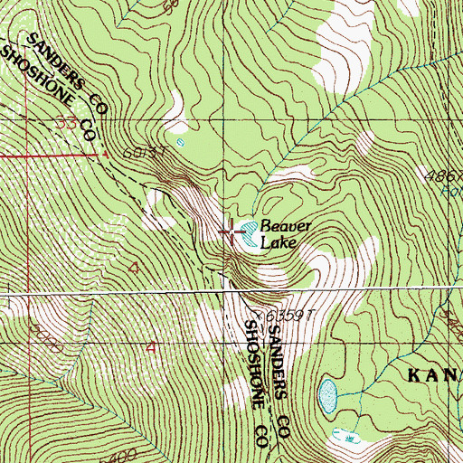 Topographic Map of Beaver Lake, MT