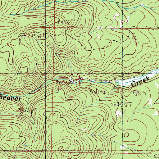 Topographic Map of Beaver Placer Mine, MT