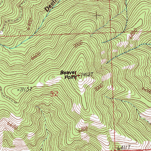 Topographic Map of Beaver Point, MT