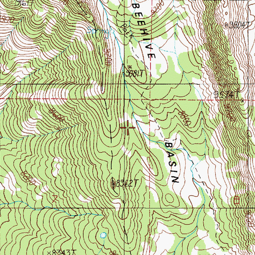 Topographic Map of Beehive Basin, MT