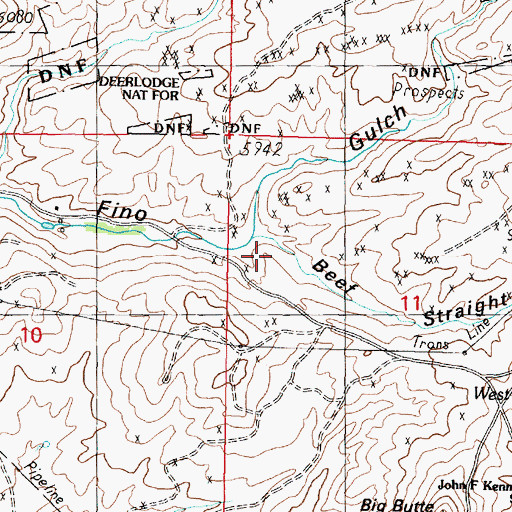 Topographic Map of Beer Straight Gulch, MT