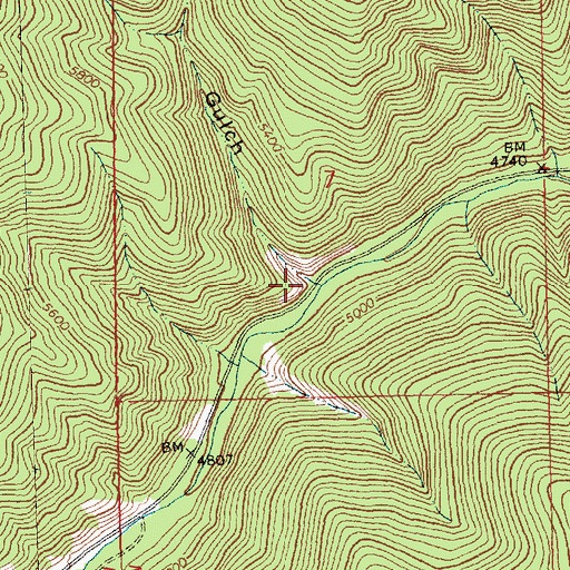 Topographic Map of Beetle Gulch, MT