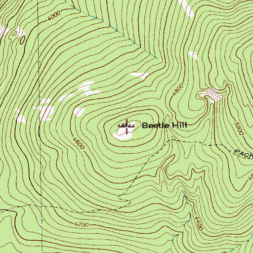 Topographic Map of Beetle Hill, MT