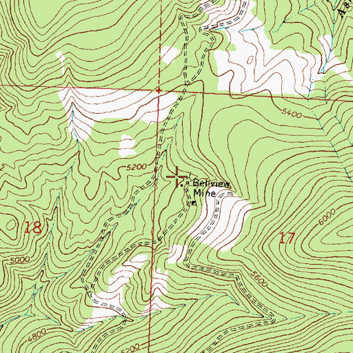 Topographic Map of Bellview Mine, MT