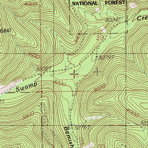 Topographic Map of Bemish Creek, MT