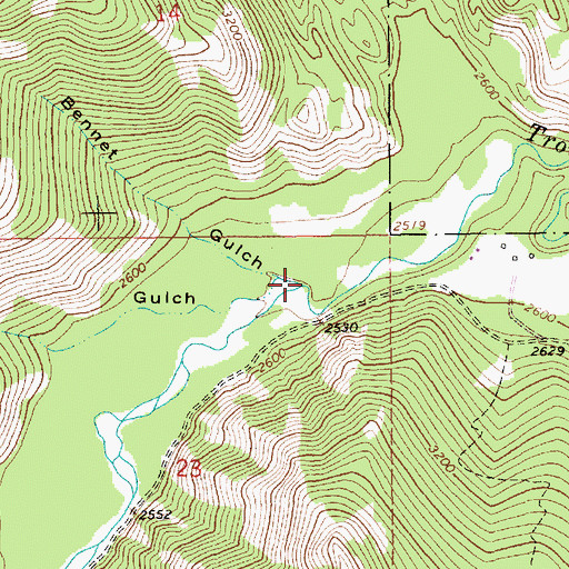 Topographic Map of Bennet Gulch, MT