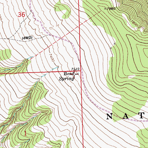 Topographic Map of Bent Spring, MT