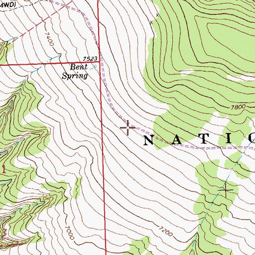 Topographic Map of Bent Trail, MT