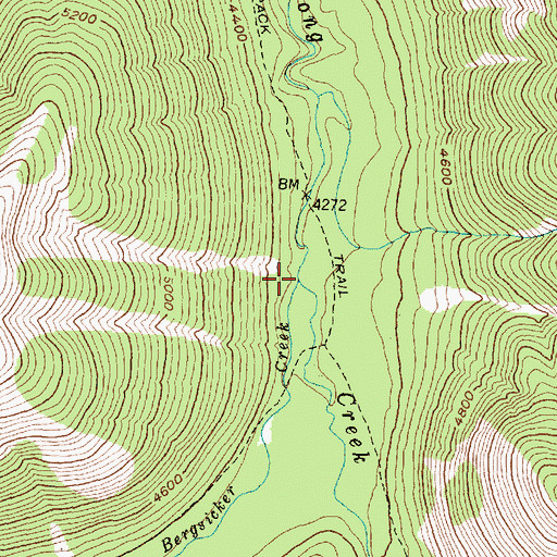 Topographic Map of Bergsicker Creek, MT