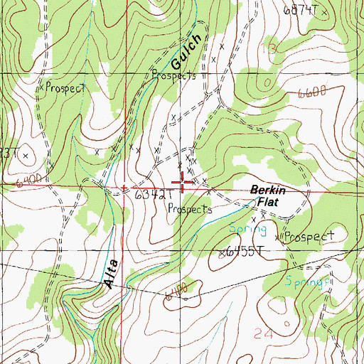 Topographic Map of Berkin Flat, MT