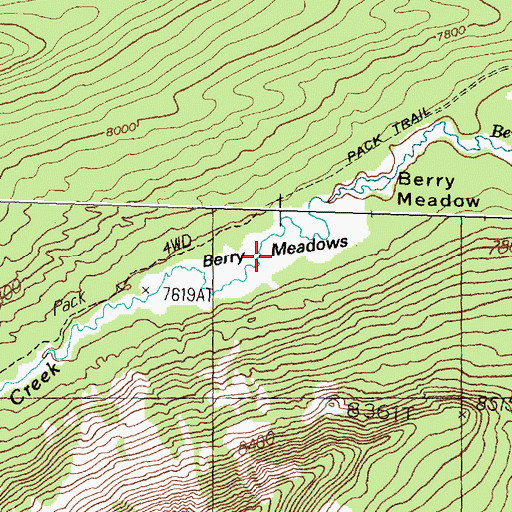 Topographic Map of Berry Meadows, MT