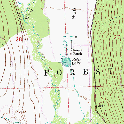 Topographic Map of Betts Lake, MT
