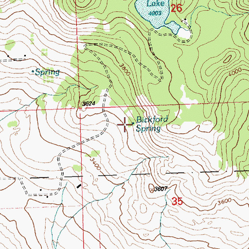 Topographic Map of Bickford Spring, MT