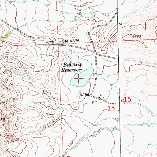 Topographic Map of Bidstrip Reservoir, MT