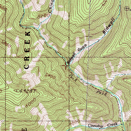 Topographic Map of Bidwell Gulch, MT