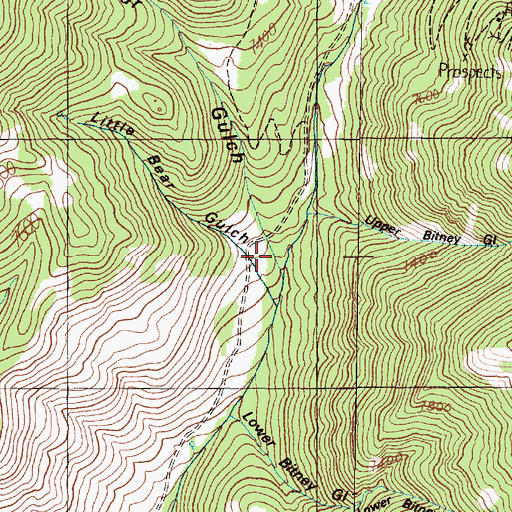 Topographic Map of Big Bear Gulch, MT