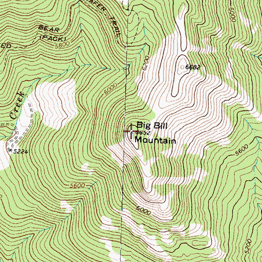 Topographic Map of Big Bill Mountain, MT