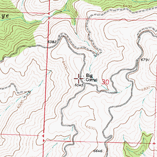 Topographic Map of Big Corral, MT