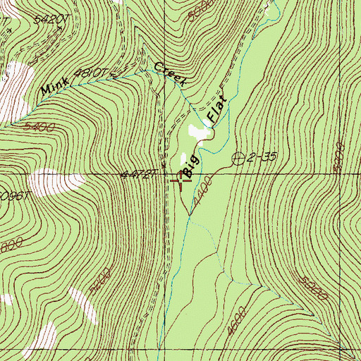 Topographic Map of Big Flat, MT