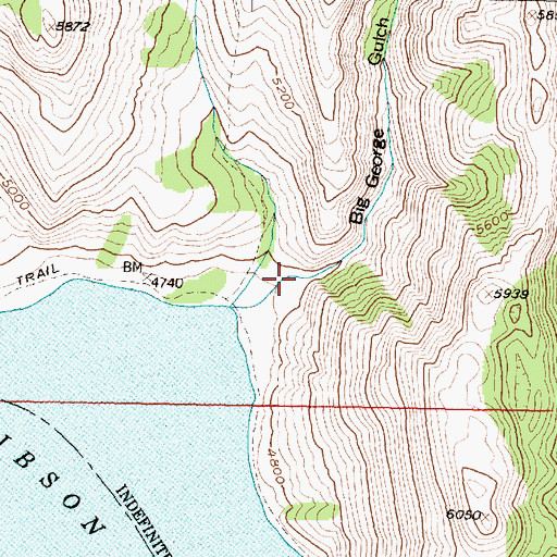 Topographic Map of Big George Gulch, MT