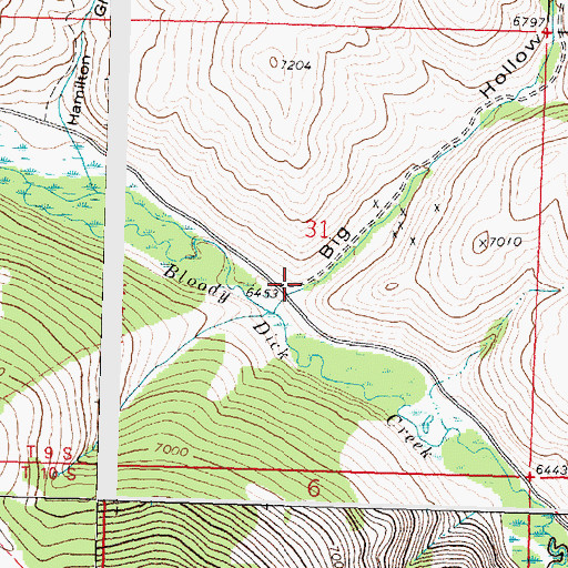 Topographic Map of Big Hollow, MT