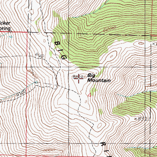 Topographic Map of Big Mountain, MT