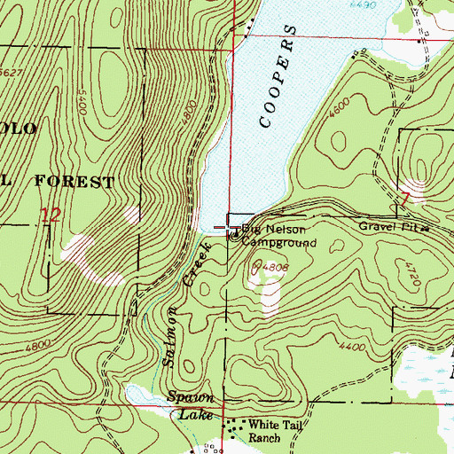 Topographic Map of Big Nelson Campground, MT