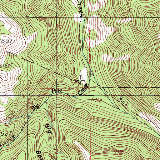 Topographic Map of Big Pine Creek, MT