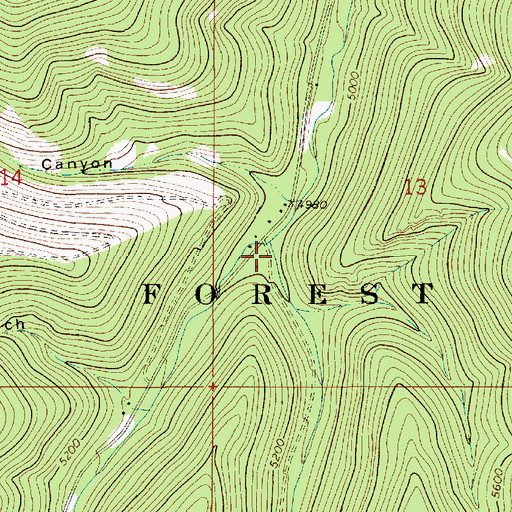 Topographic Map of Big Timber Gulch, MT