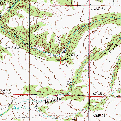 Topographic Map of Biggs Ranch, MT