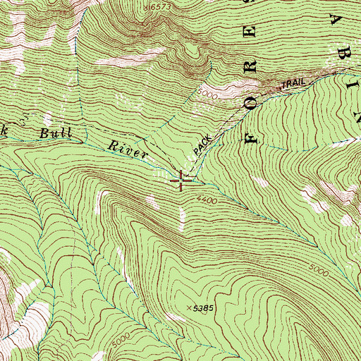 Topographic Map of Bighorn Creek, MT