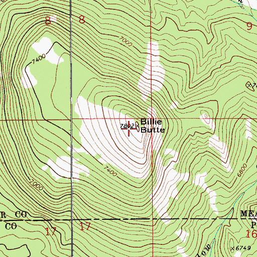 Topographic Map of Billie Butte, MT