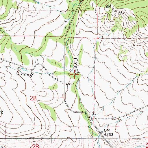 Topographic Map of Birch Creek, MT