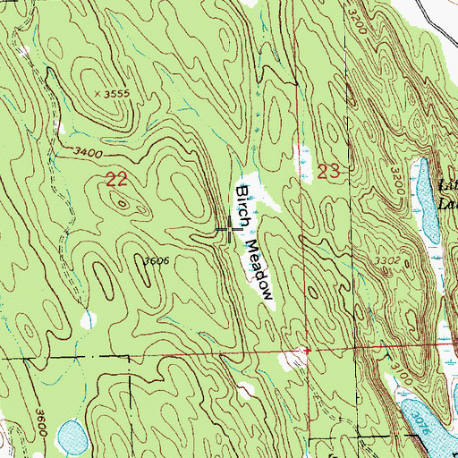 Topographic Map of Birch Meadow, MT