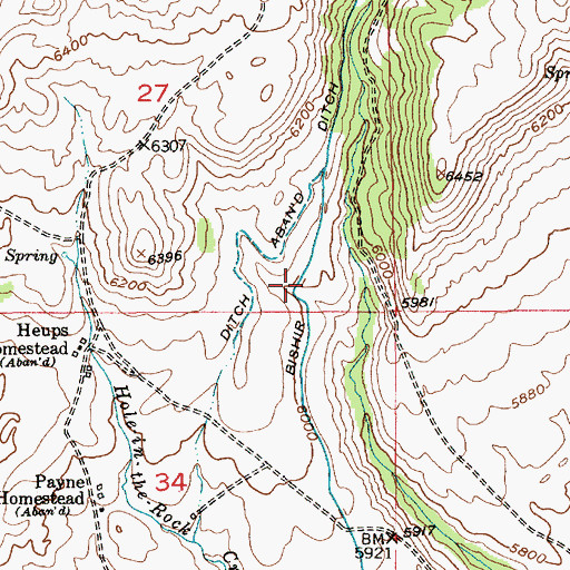 Topographic Map of Bishir Ditch, MT
