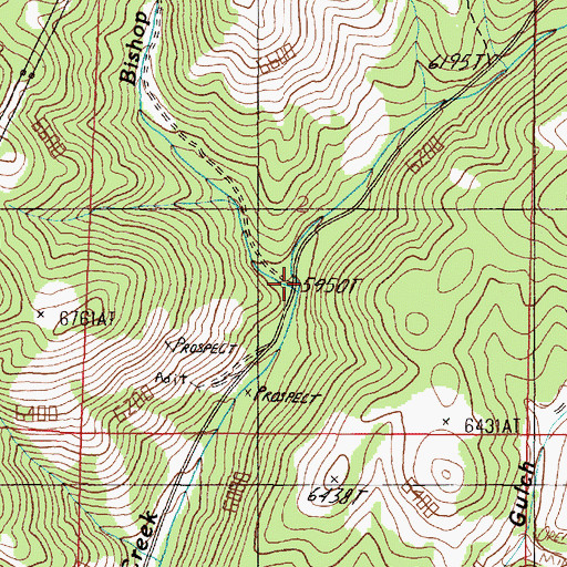 Topographic Map of Bishop Creek, MT