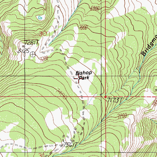 Topographic Map of Bishop Park, MT